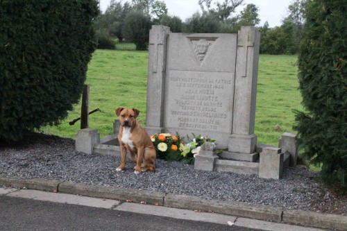du chien 1.jpg
